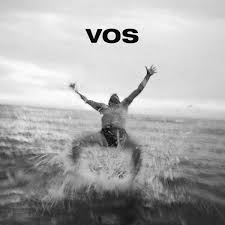 VOS: Een eerbetoon aan Luc De Vos op vinyl!