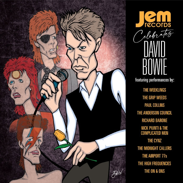 |  Vinyl LP | V/A - Jem Records Celebrates David Bowie (LP) | Records on Vinyl