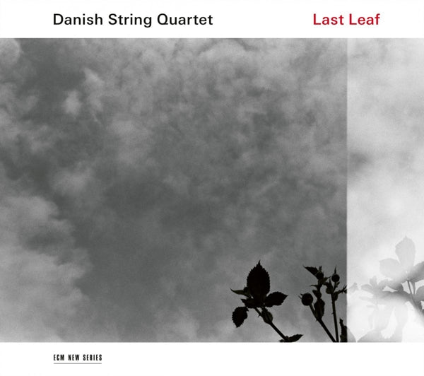 |  Vinyl LP | Danish String Quartet - Last Leaf (LP) | Records on Vinyl