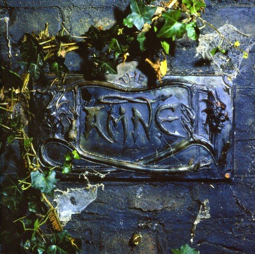 |  Vinyl LP | Damned - Black Album (2 LPs) | Records on Vinyl