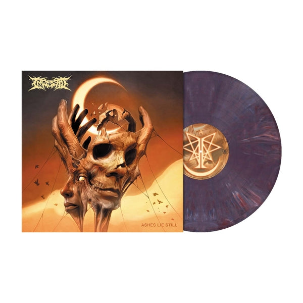 |   | Ingested - Ashes Lie Still (LP) | Records on Vinyl