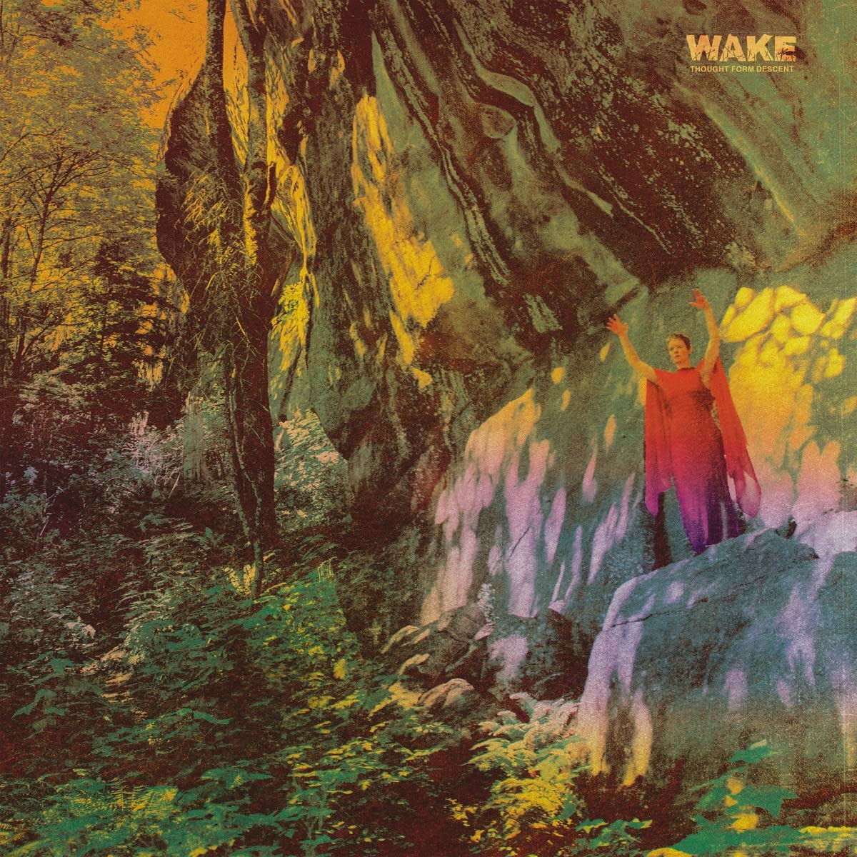 Wake - Thought Form Descent (LP) Cover Arts and Media | Records on Vinyl
