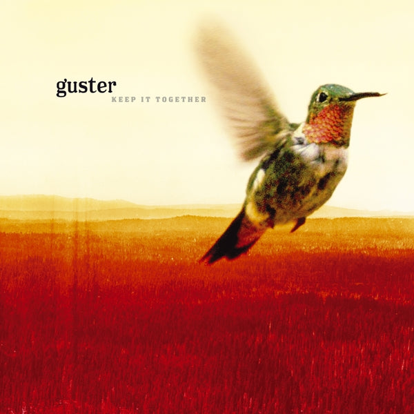 |  Vinyl LP | Guster - Keep It Together (LP) | Records on Vinyl