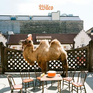|  Vinyl LP | Wilco - Wilco (the Album) (2 LPs) | Records on Vinyl