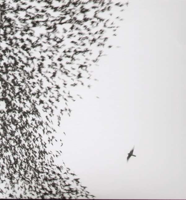 |   | Wilco - Sky Blue Sky (2 LPs) | Records on Vinyl