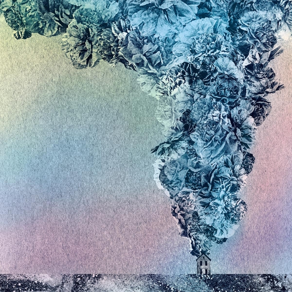 |  Vinyl LP | Daughn Gibson - Carnation (Clear) (LP) | Records on Vinyl