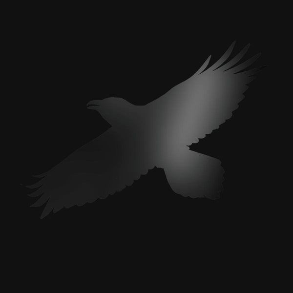 |  Vinyl LP | Sigur Ros - Odin's Raven Magic (2 LPs) | Records on Vinyl