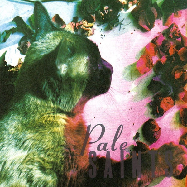 |  Vinyl LP | Pale Saints - Comforts of Madness (2 LPs) | Records on Vinyl