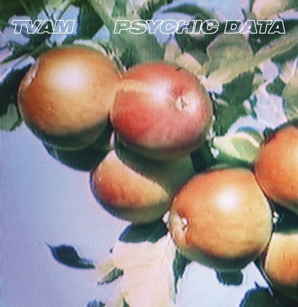 |   | Tvam - Psychic Data (LP) | Records on Vinyl