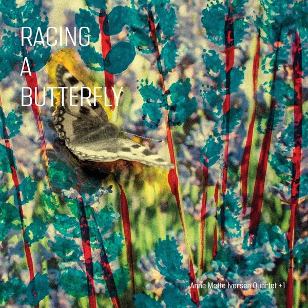 |  Vinyl LP | Anne Mette -Quartet+1- Iversen - Racing a Butterfly (LP) | Records on Vinyl