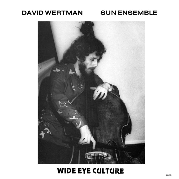 |  Vinyl LP | David & Sun Ensemble Wertman - Wide Eye Culture (3 LPs) | Records on Vinyl