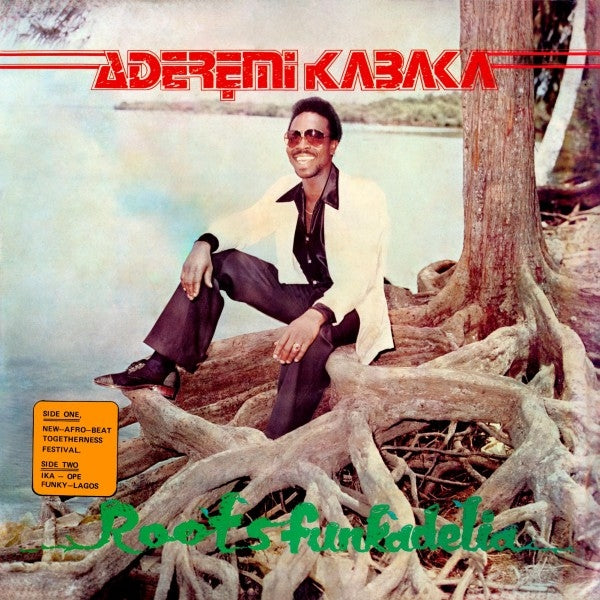 |  Vinyl LP | Remi Kabaka - Roots Funkadelia (LP) | Records on Vinyl