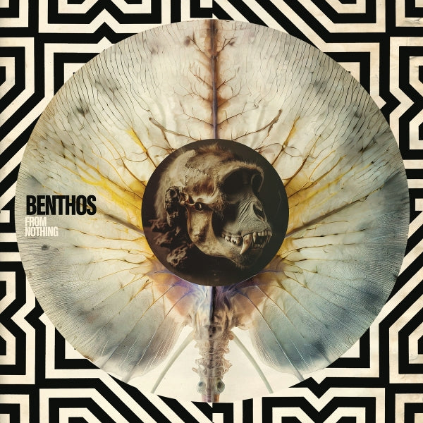 |  Vinyl LP | Benthos - From Nothing (LP) | Records on Vinyl