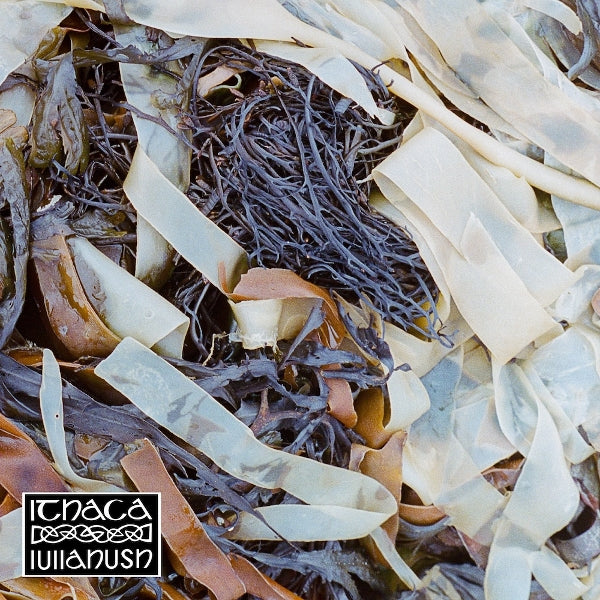 |  Vinyl LP | Lullahush - Ithaca (LP) | Records on Vinyl