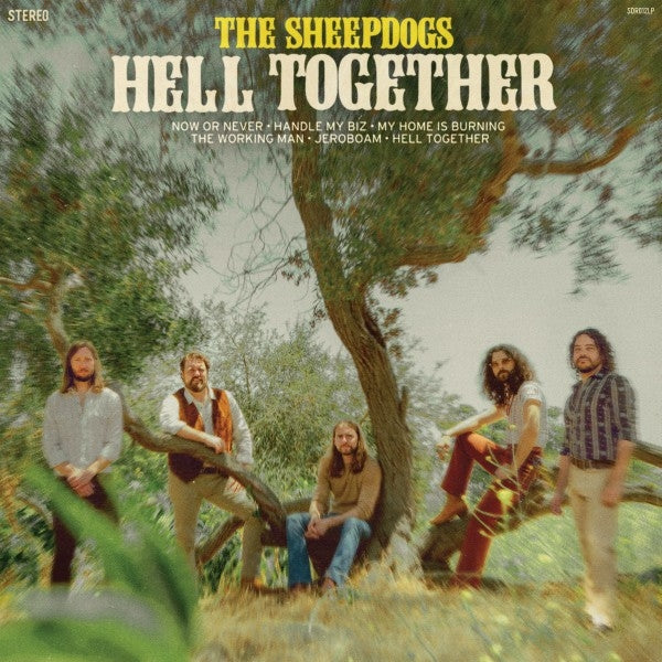|   | Sheepdogs - Hell Together (LP) | Records on Vinyl