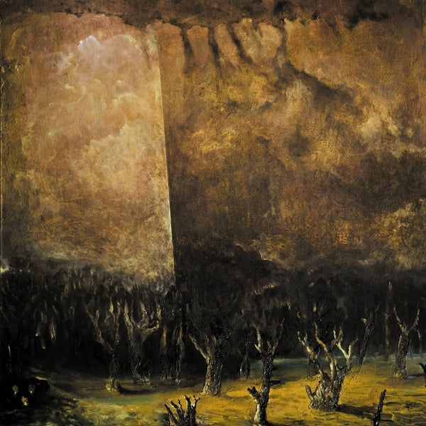 |  Vinyl LP | Tenebrae In Perpetuum - Vacuum Coeli (LP) | Records on Vinyl