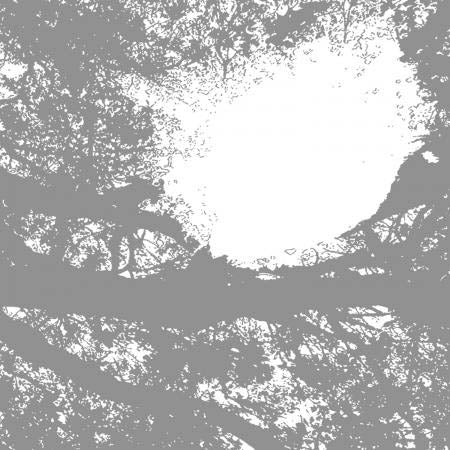 |  Vinyl LP | Comets On Fire - Field Recordings From the (LP) | Records on Vinyl