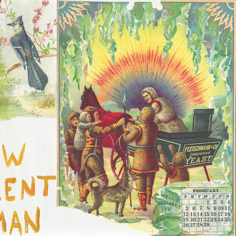 |  Vinyl LP | Asher White - New Excellent Woman (LP) | Records on Vinyl