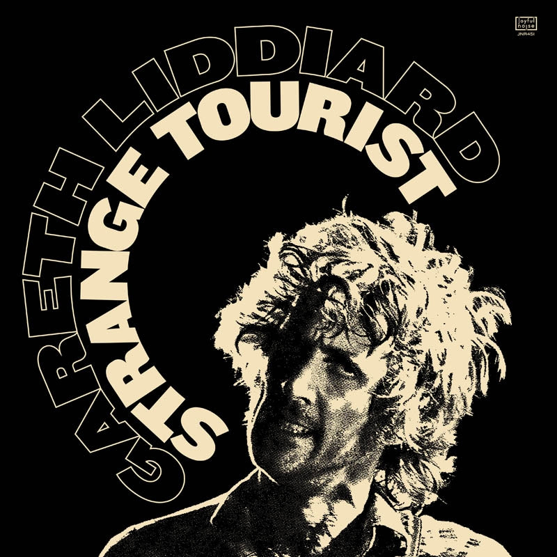 |  Vinyl LP | Gareth Liddiard - Strange Tourist (LP) | Records on Vinyl