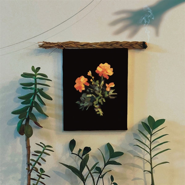 |  Vinyl LP | Why? - The Well I Fell Into (LP) | Records on Vinyl