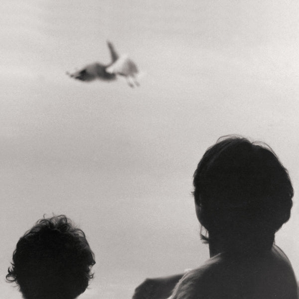 |   | Federico Albanese - Before and Now Seems Infinite (LP) | Records on Vinyl