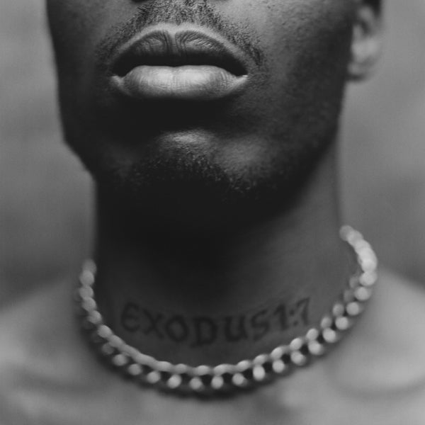 |  Vinyl LP | Dmx - Exodus (LP) | Records on Vinyl