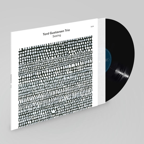 |  Vinyl LP | Tord Gustavsen Trio - Seeing (LP) | Records on Vinyl
