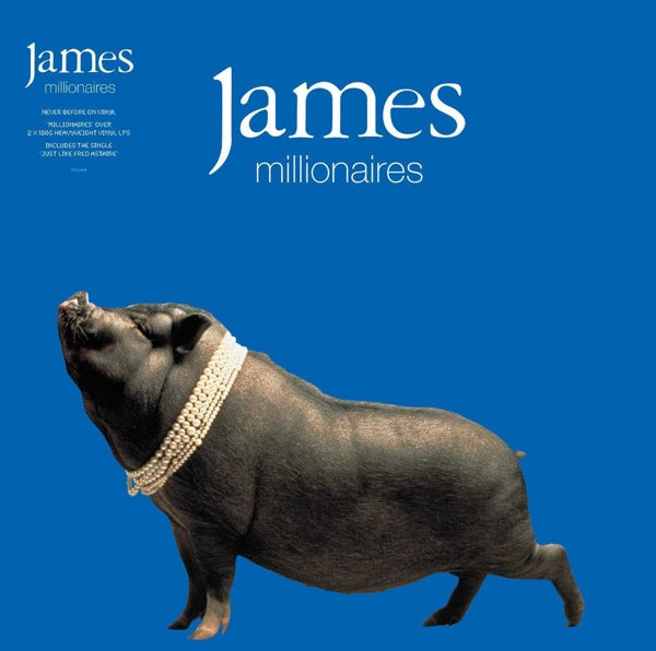 |  Vinyl LP | James - Millionaires (2 LPs) | Records on Vinyl