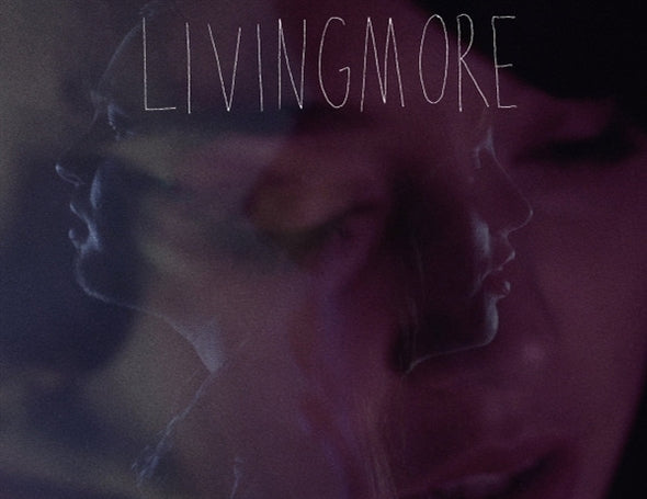 |  Vinyl LP | Livingmore - Ok To Land (LP) | Records on Vinyl