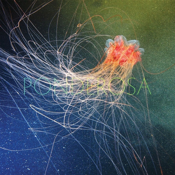 |   | Ponderosa - Pool Party (LP) | Records on Vinyl