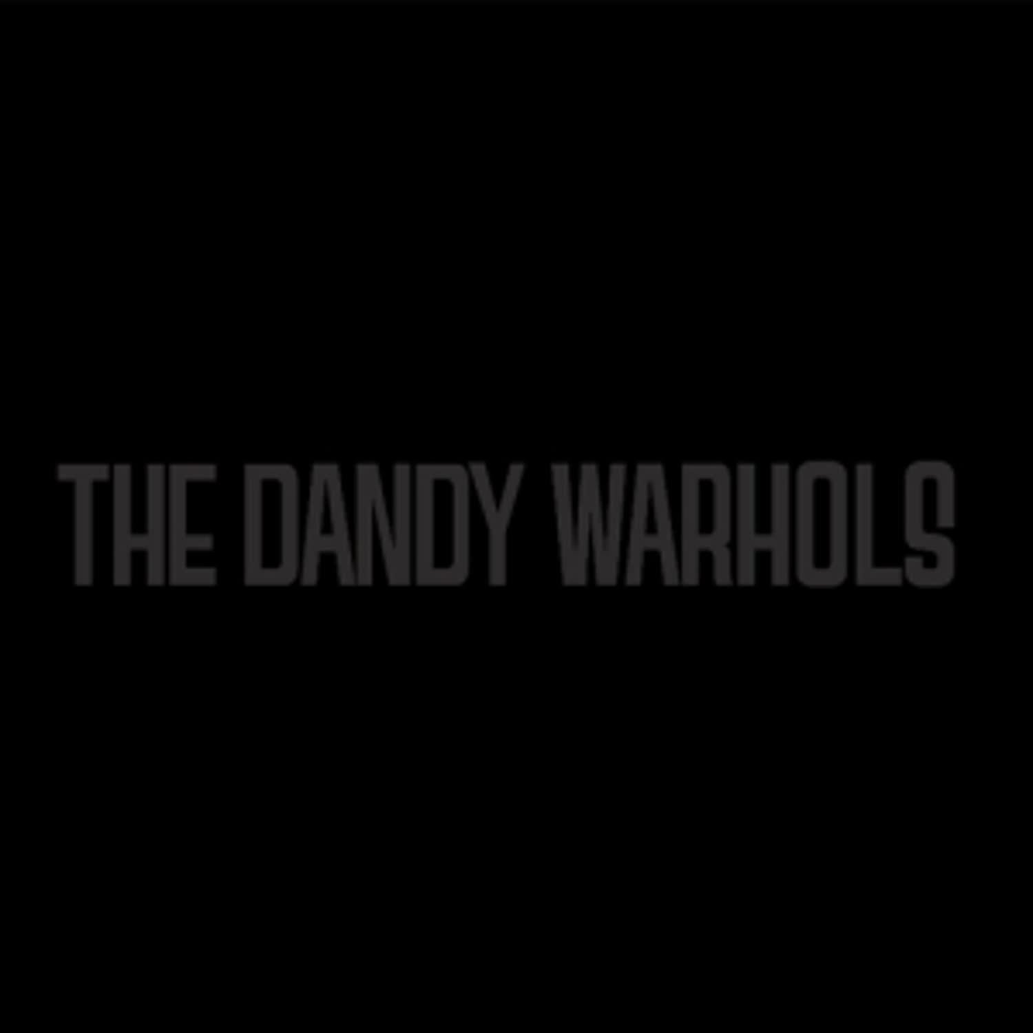 |   | Dandy Warhols - Black Album (LP) | Records on Vinyl