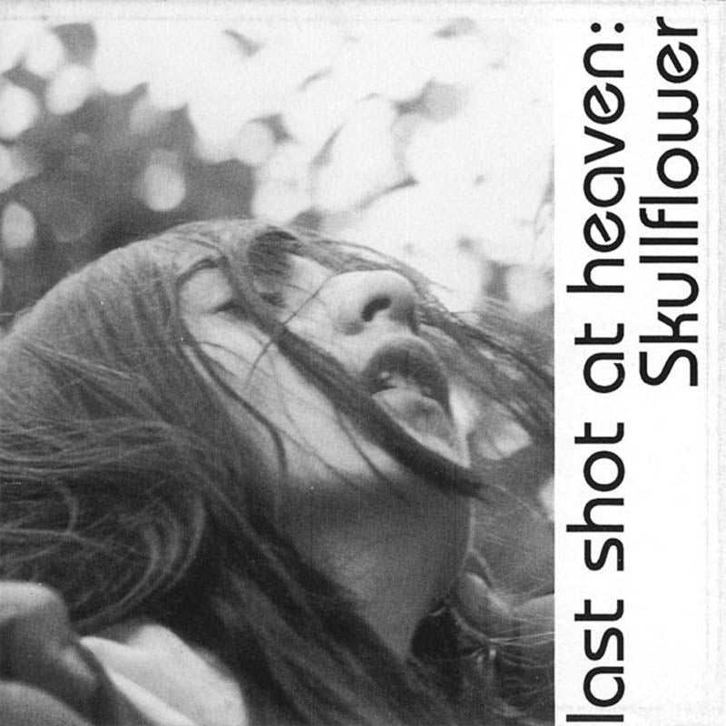 |  Vinyl LP | Skullflower - Lost Shot At Heaven (2 LPs) | Records on Vinyl