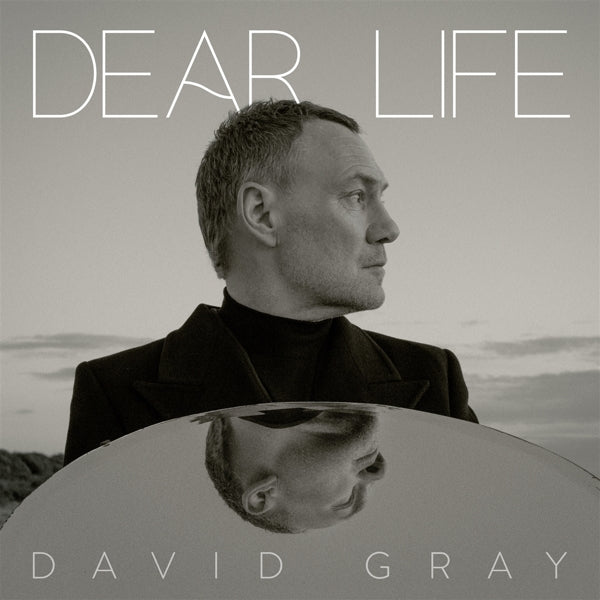|  Vinyl LP | David Gray - Dear Life (2 LPs) | Records on Vinyl