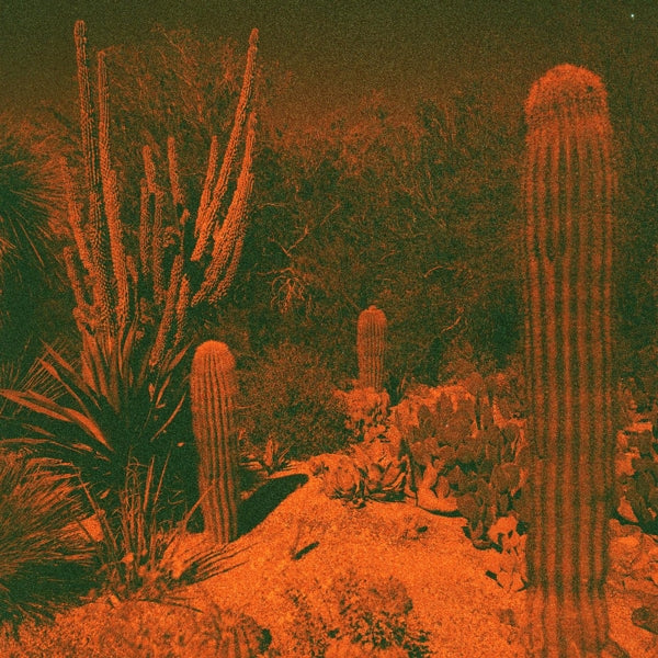 |   | Cameron & Eli Winter Knowler - Anticipation (LP) | Records on Vinyl