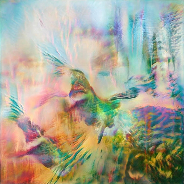 |  Vinyl LP | Seahawks - Time Enough For Love (LP) | Records on Vinyl