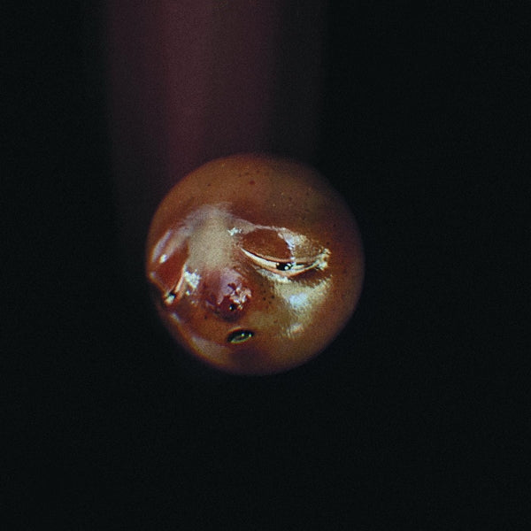 |   | Poolblood - Mole (LP) | Records on Vinyl