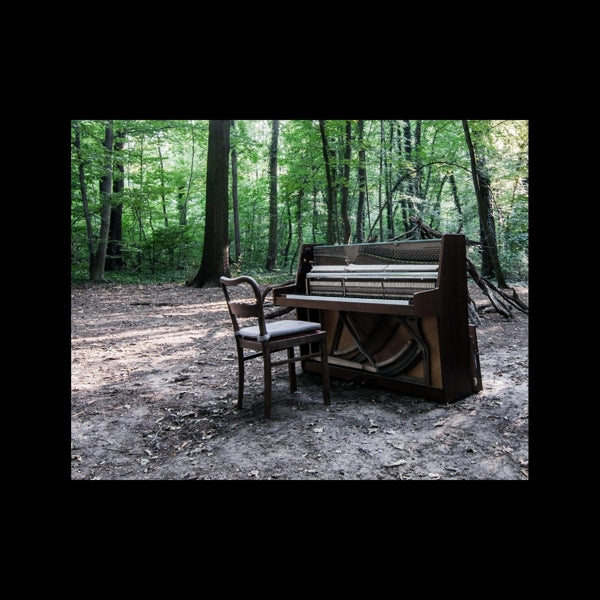 |  Vinyl LP | Eye of Time - Acoustic Ii (2 LPs) | Records on Vinyl