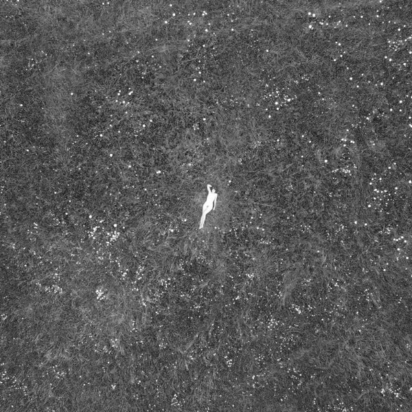 |  Vinyl LP | Birds of Passage - Last Garden (LP) | Records on Vinyl