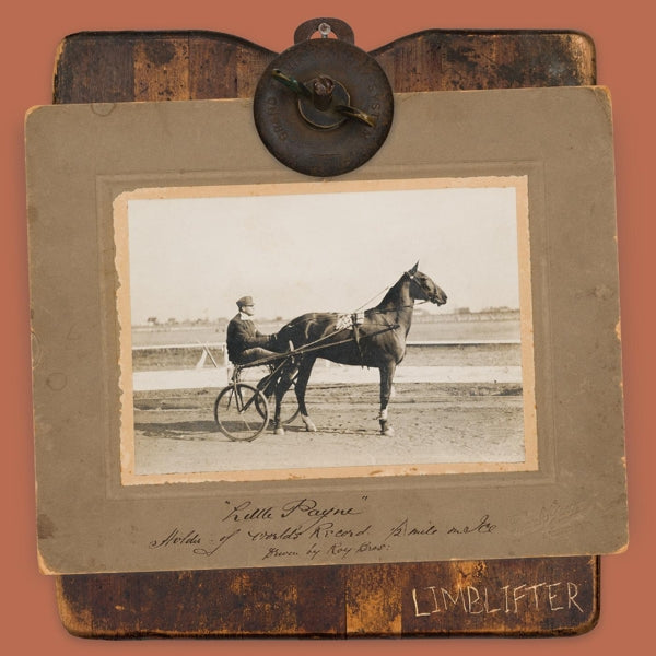|   | Limblifter - Little Payne (LP) | Records on Vinyl
