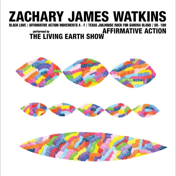 |  Vinyl LP | Zachary James Watkins - Affirmative Action (LP) | Records on Vinyl