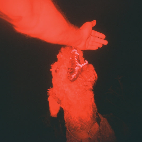 |  Vinyl LP | Eli Winter - A Trick of the Light (LP) | Records on Vinyl