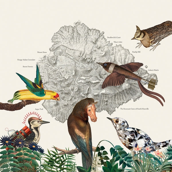 |  Vinyl LP | Friendly Rich - The Birds of Marsville (LP) | Records on Vinyl