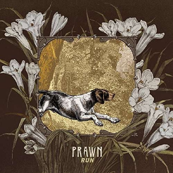 |   | Prawn - Run (LP) | Records on Vinyl