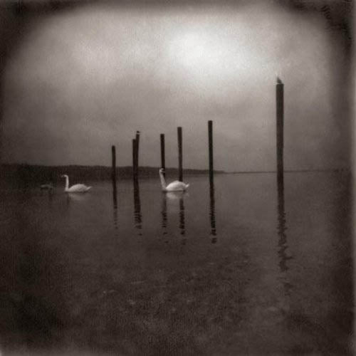 |   | Om - Conference of the Birds (LP) | Records on Vinyl