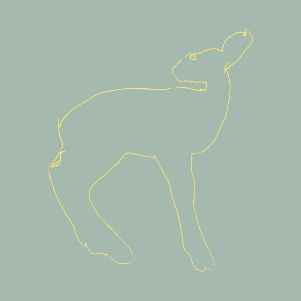 |  Vinyl LP | Songs: Ohia - Hecla & Griper (LP) | Records on Vinyl