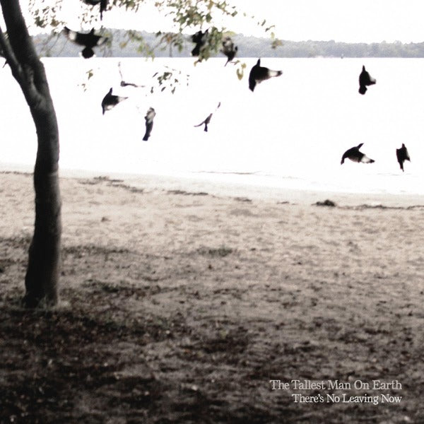 |  Vinyl LP | Tallest Man On Earth - There's No Leaving (LP) | Records on Vinyl