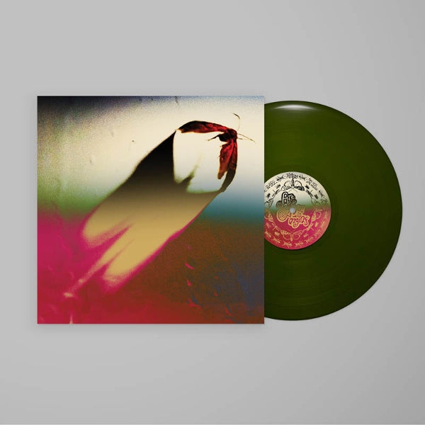 |  Vinyl LP | Scowl - Are We All Angels (LP) | Records on Vinyl