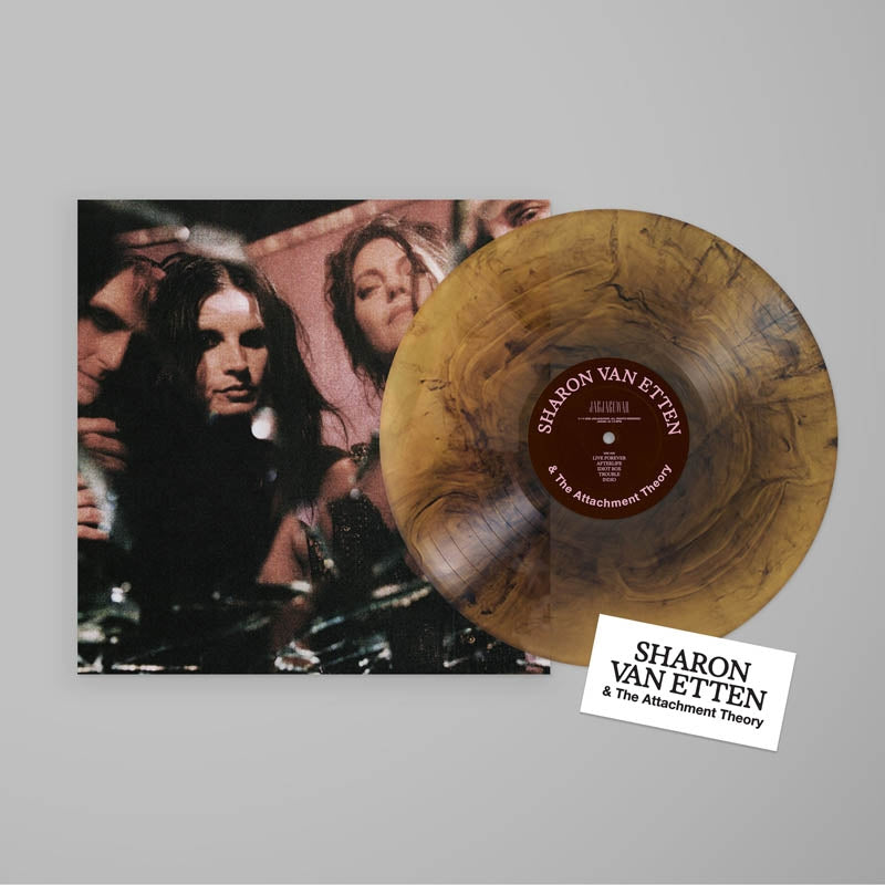 |  Vinyl LP | Sharon Van Etten - Sharon Van Etten & the Attach. (LP) | Records on Vinyl