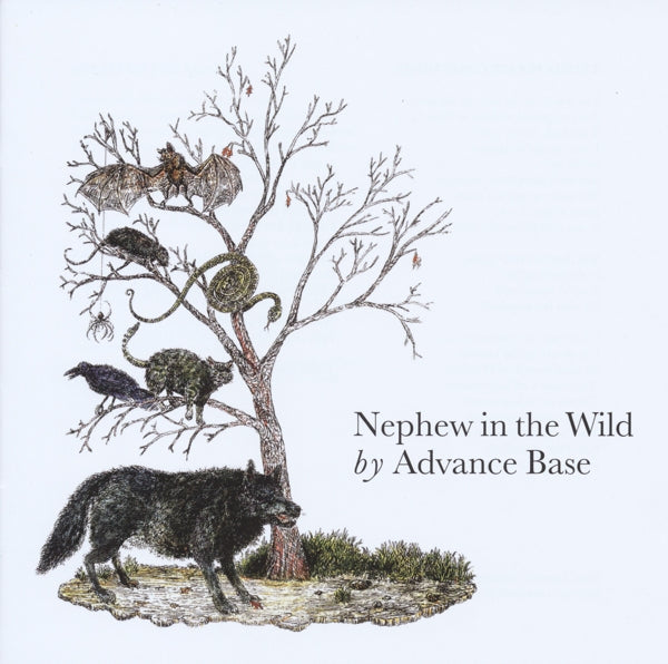 |  Vinyl LP | Advance Base - Nephew In the Wild (LP) | Records on Vinyl