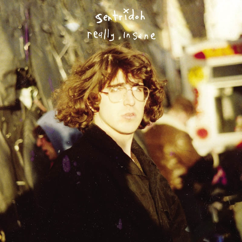 |  Vinyl LP | Sentridoh - Really Insane - a Lou Barlow Compendium (LP) | Records on Vinyl